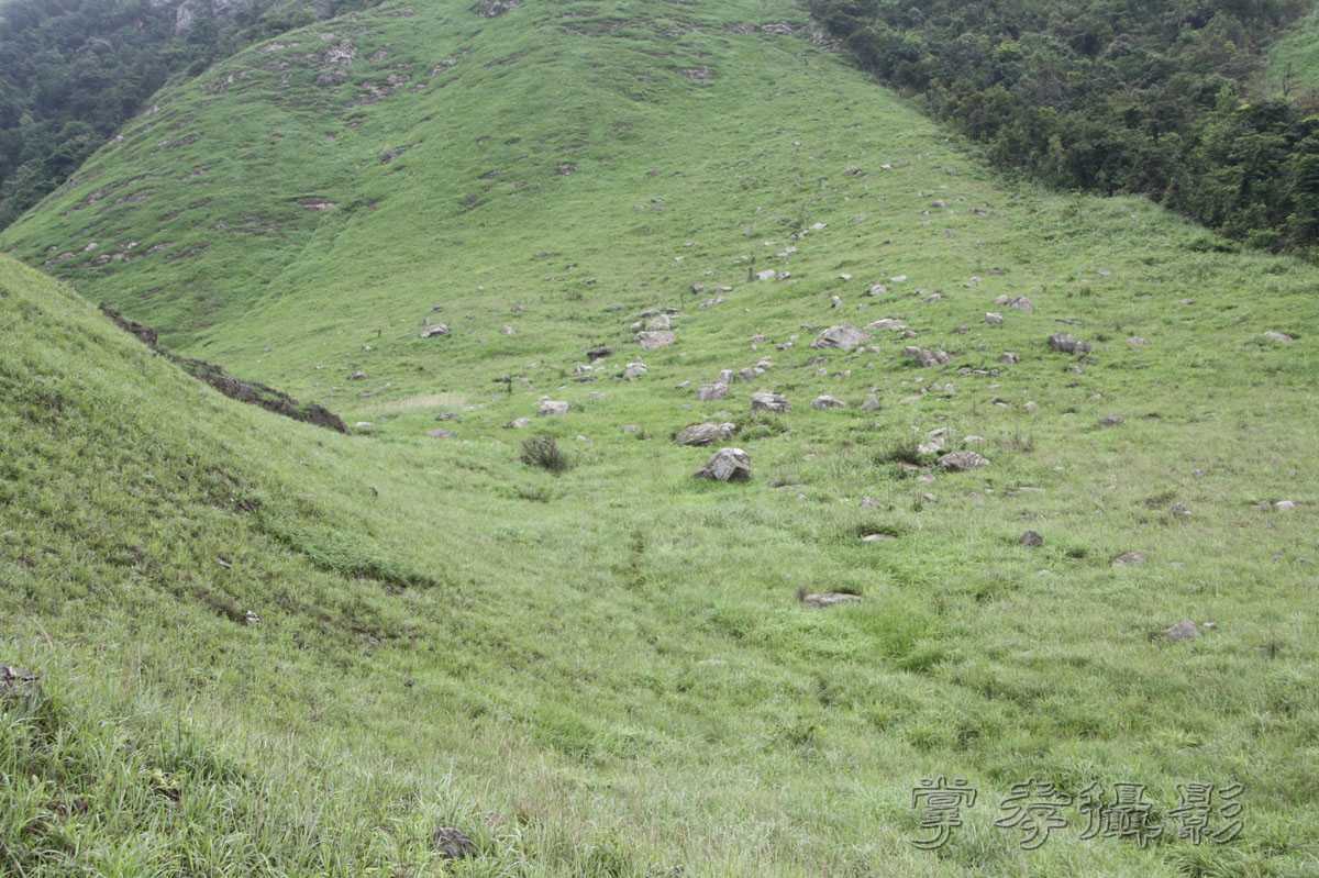 ��Ű�۷�֮����Ϊ����һ�Ŵ�Ʊ (109).jpg