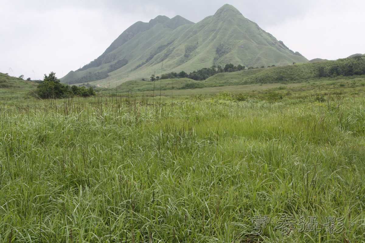 ��Ű�۷�֮����Ϊ����һ�Ŵ�Ʊ (134).jpg