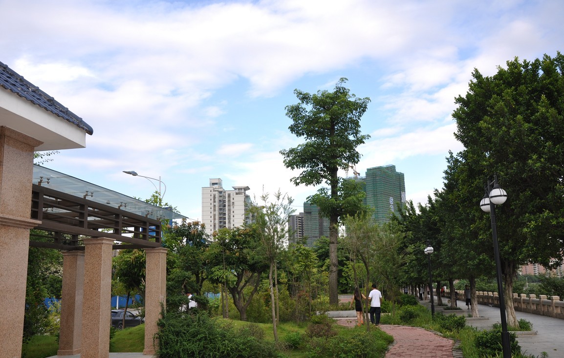 ������ 2.jpg