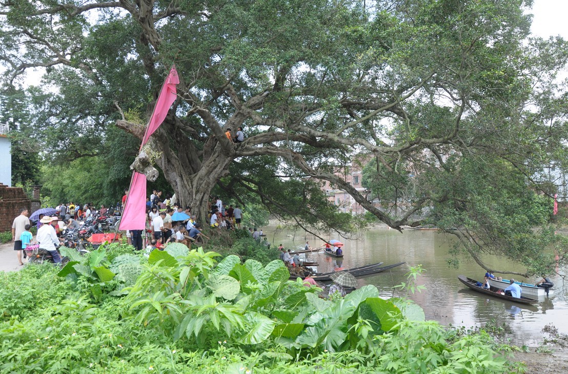 �������� 11.jpg