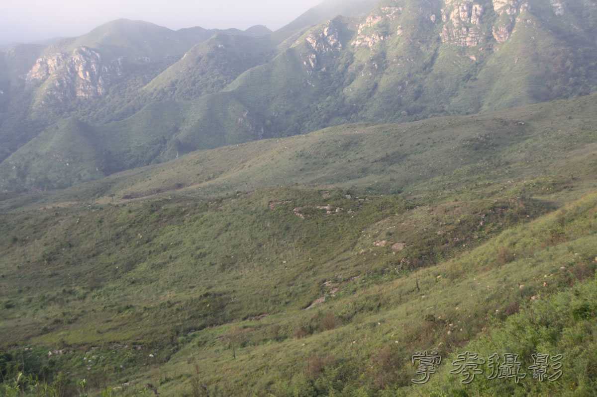 ��Ű�۷�֮����Ϊ����һ�Ŵ�Ʊ (203).jpg