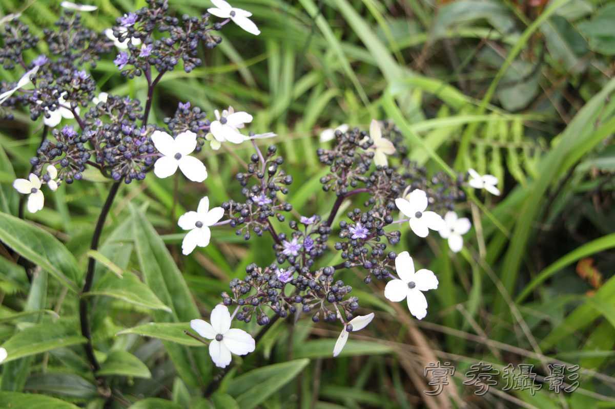 ��Ű�۷�֮����Ϊ����һ�Ŵ�Ʊ (191).jpg