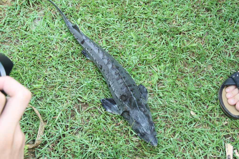 ������·����������ؼ�