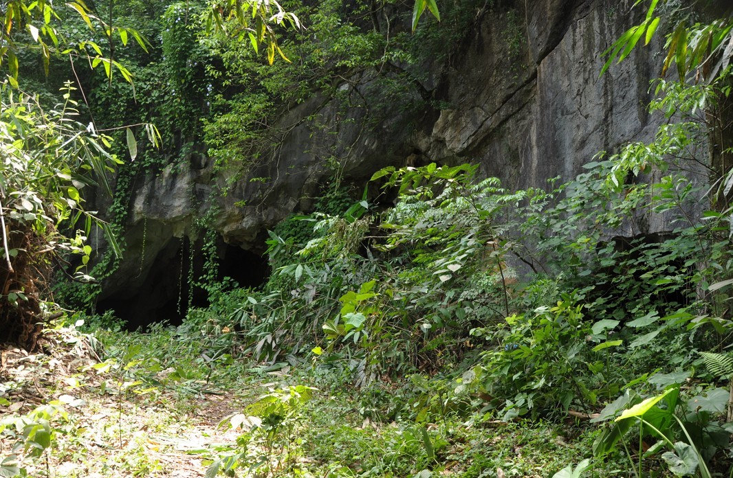 �����ܶ� 1.jpg