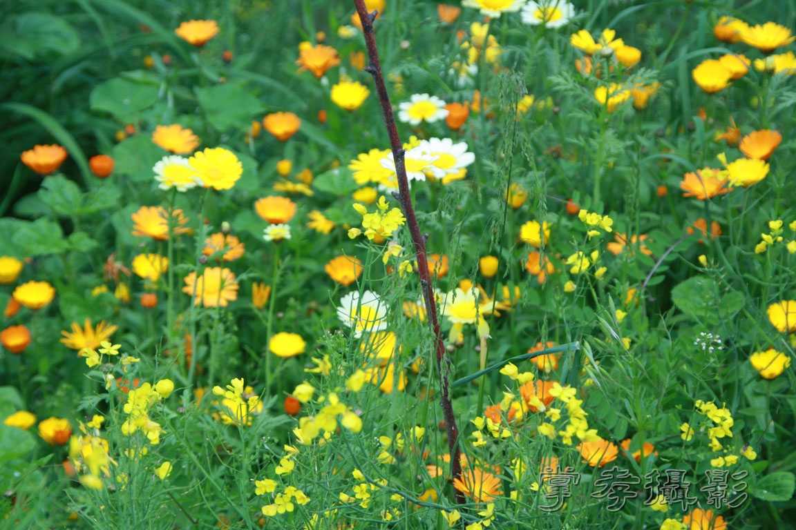 �����걦 (134).jpg