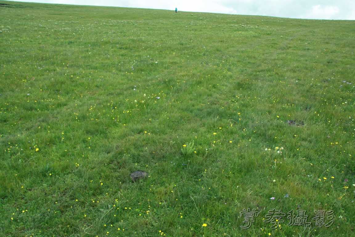 �����걦 (175).jpg