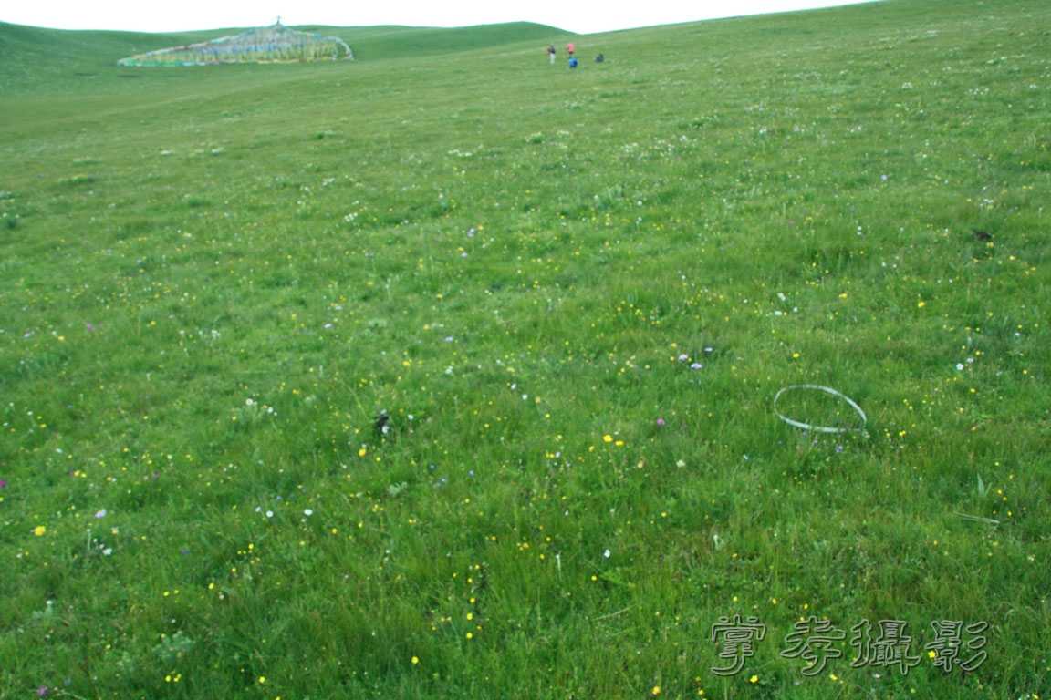 �����걦 (176).jpg