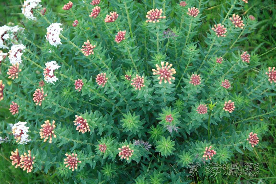 �����걦 (185).jpg