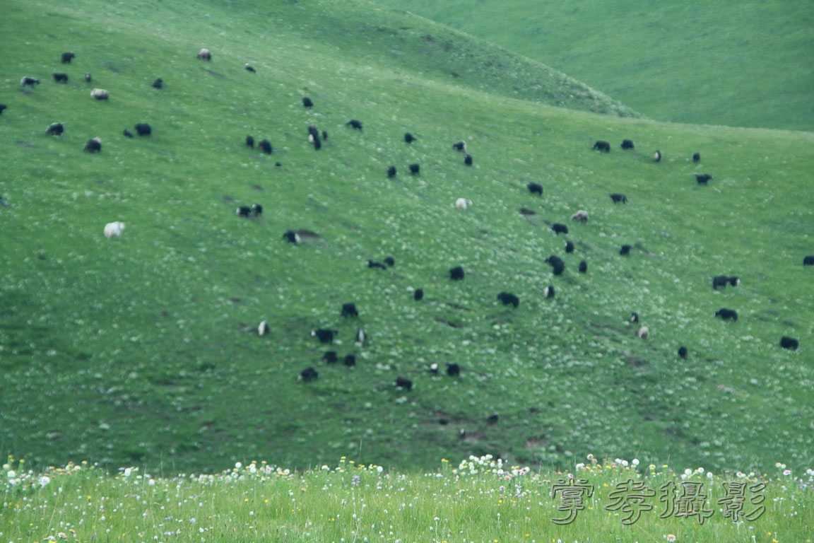 �����걦 (187).jpg