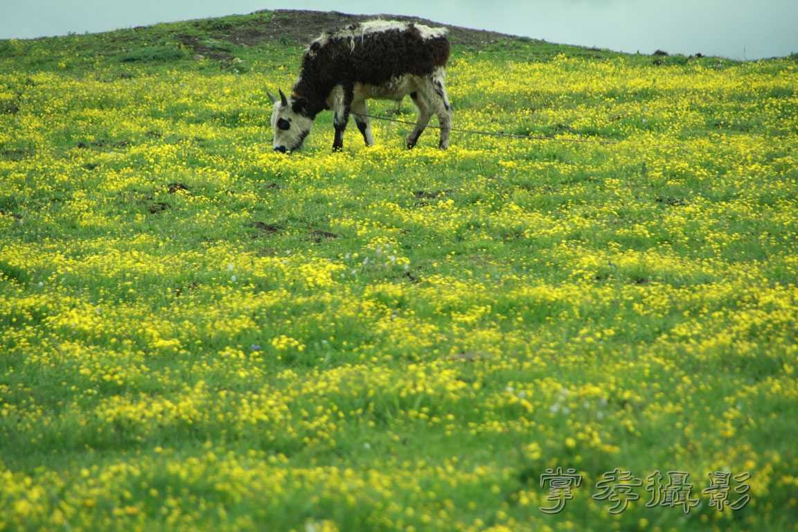 �����걦 (228).jpg