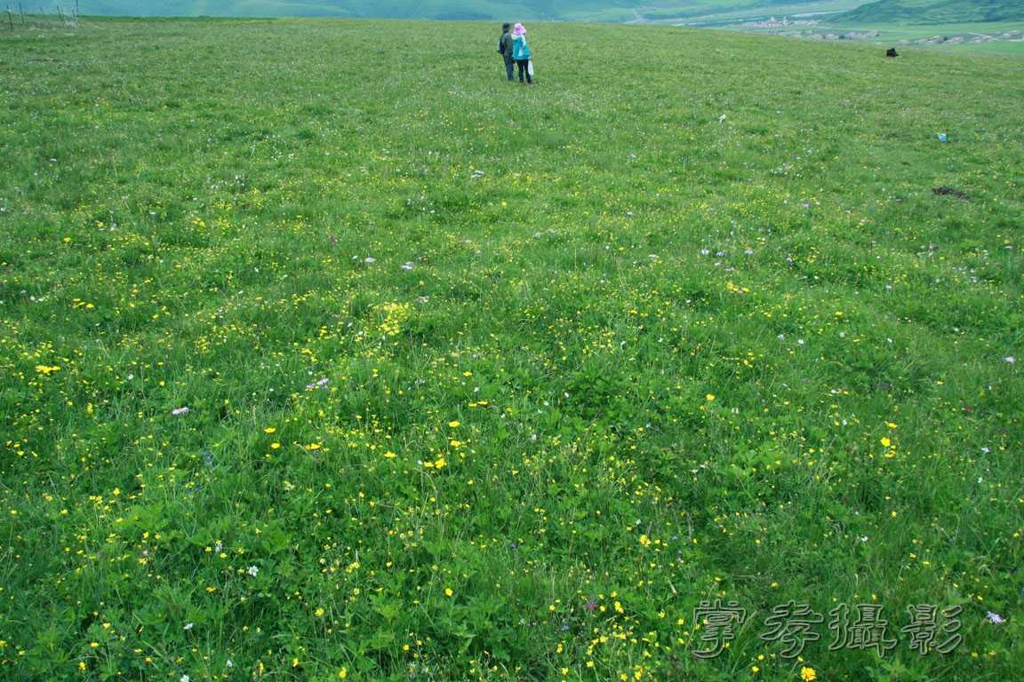 �����걦 (226).jpg