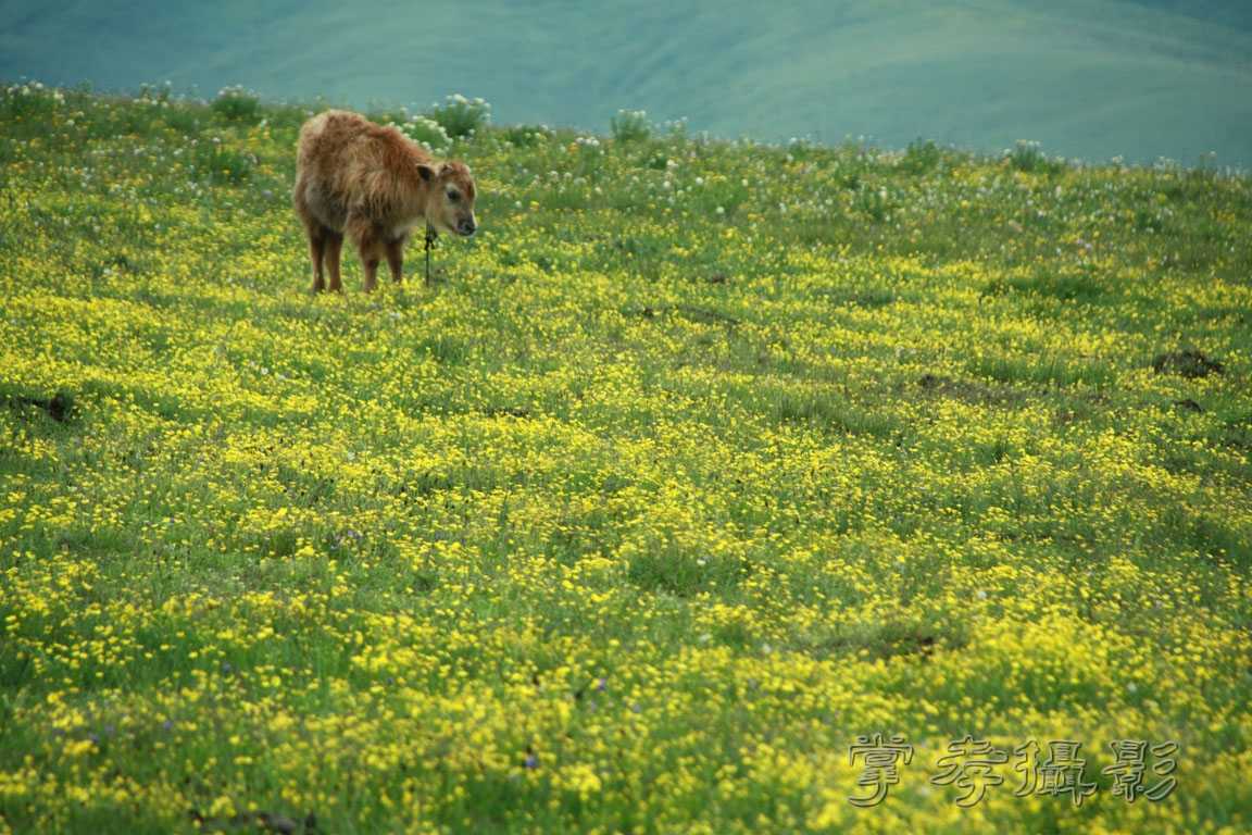 �����걦 (232).jpg