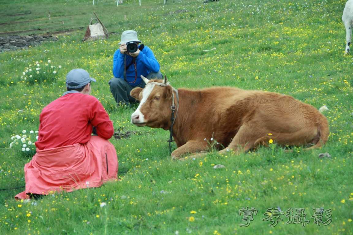 �����걦 (244).jpg