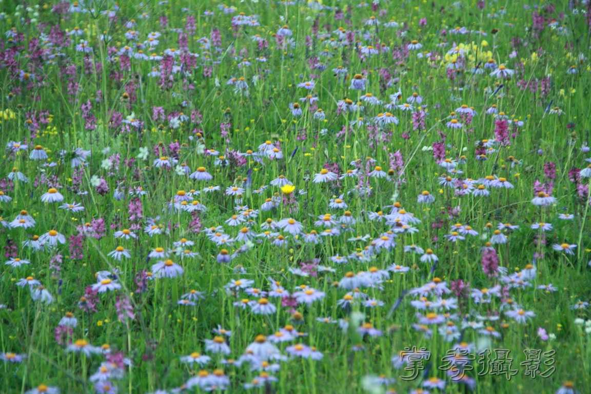 �����걦 (285).jpg