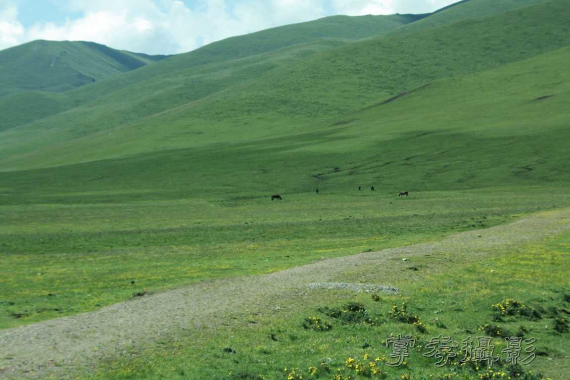 �����걦 (302).jpg