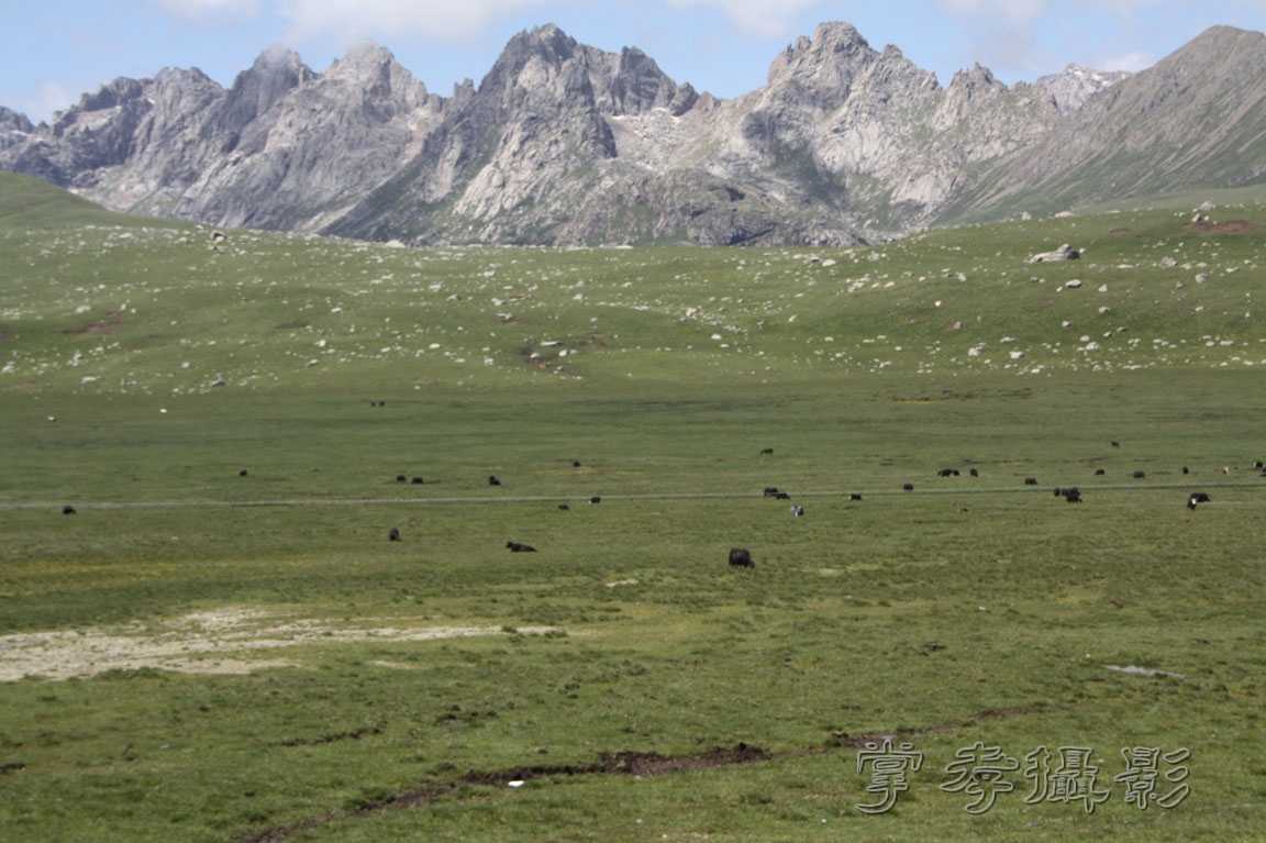 �����걦 (314).jpg