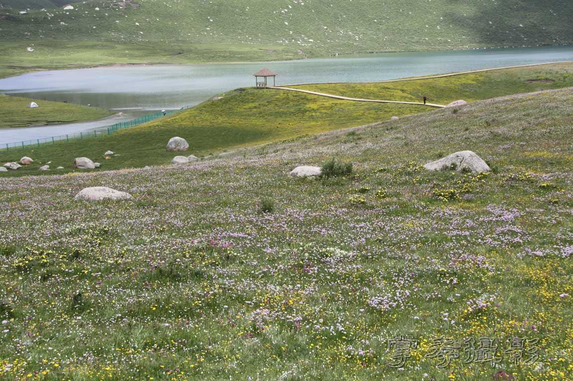 �����걦 (334).jpg