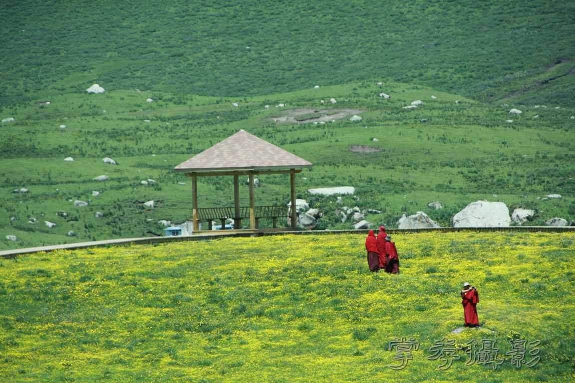 �����걦 (364).jpg