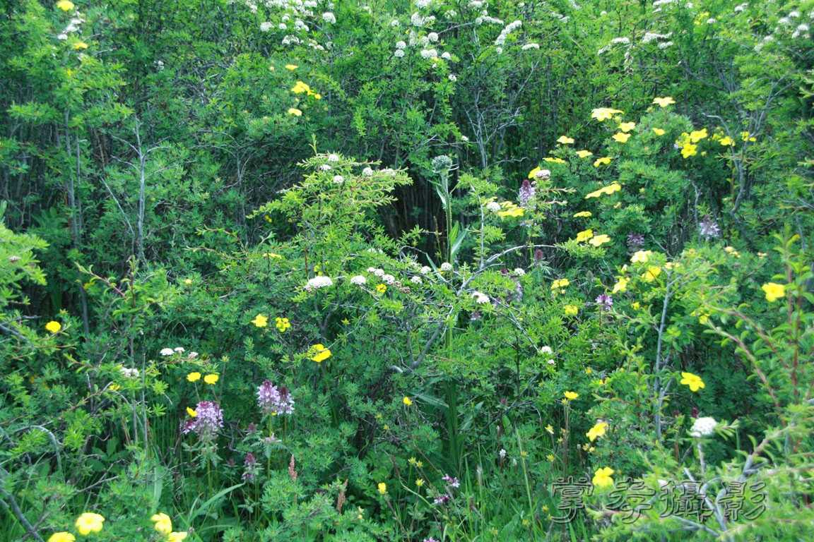 �����걦 (396).jpg