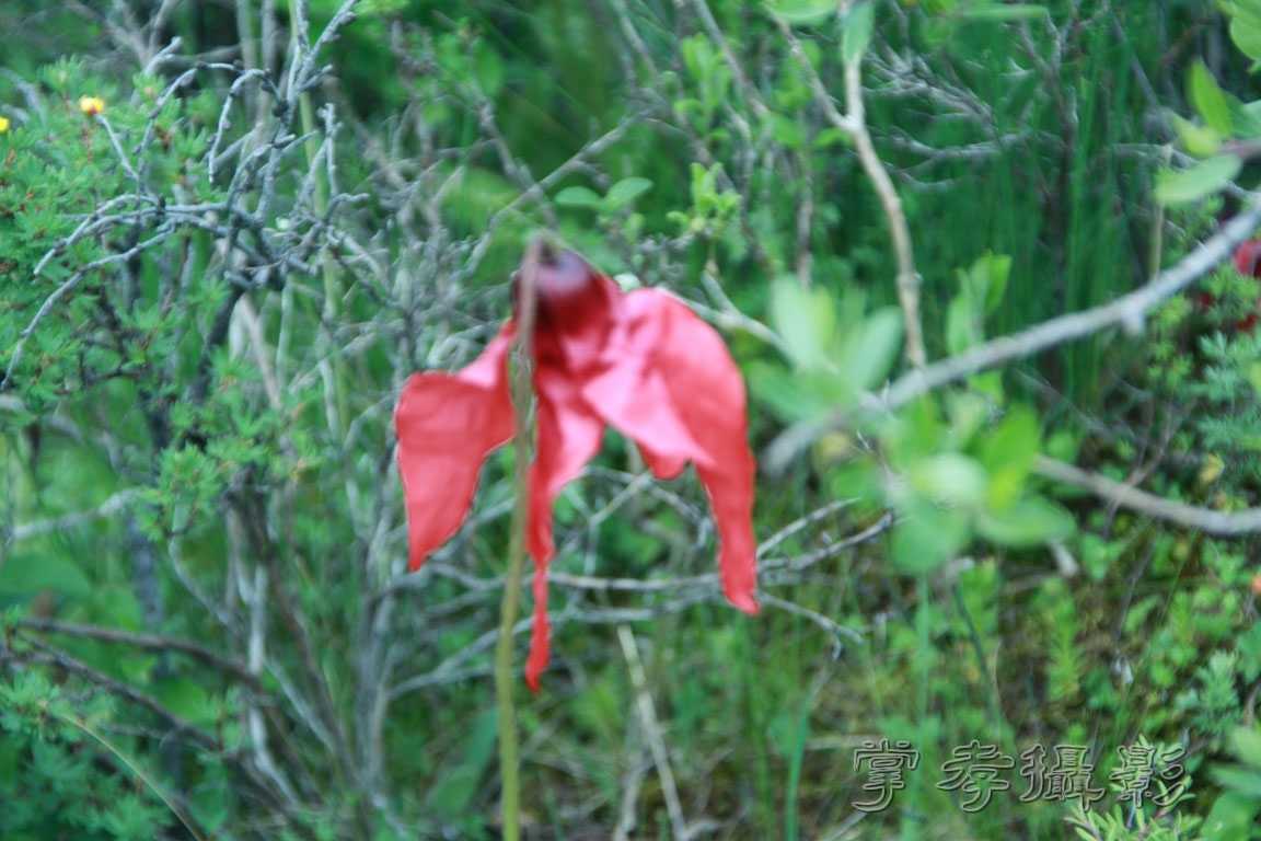 �����걦 (398).jpg