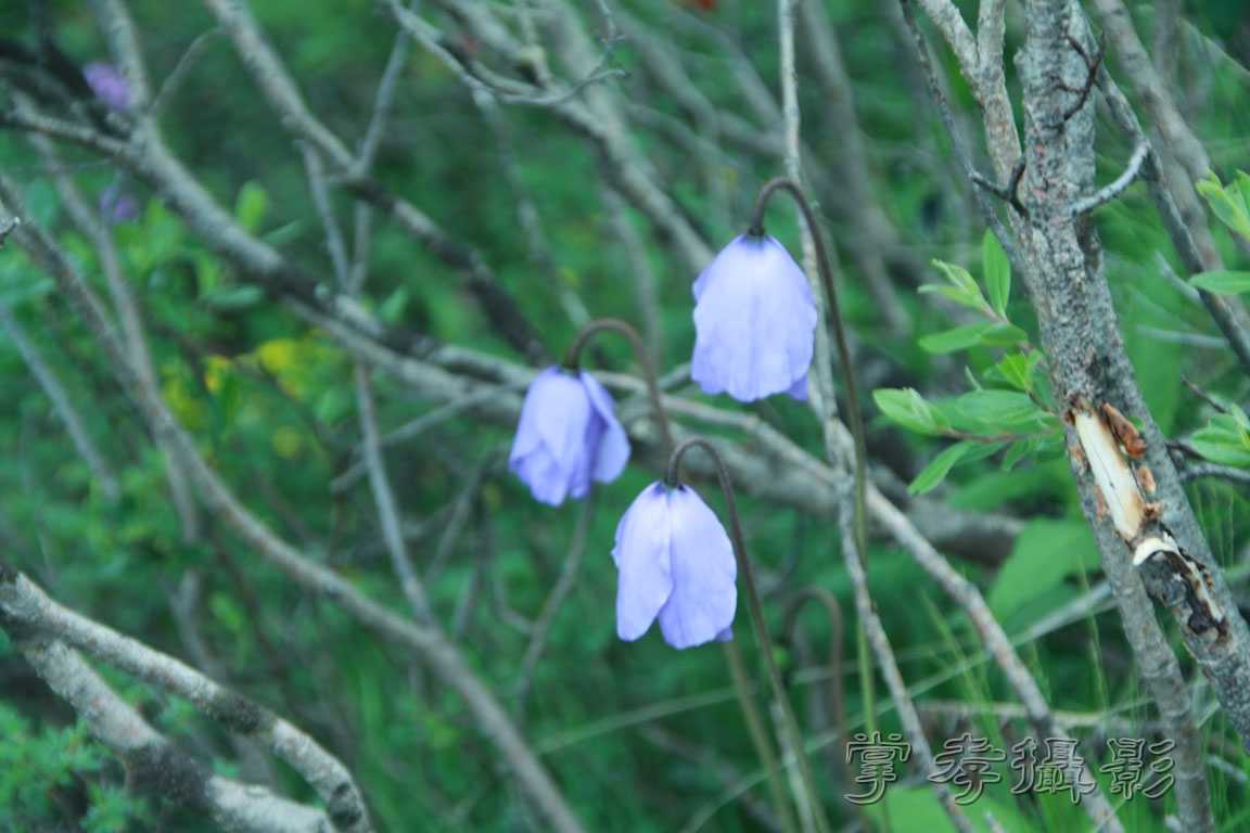 �����걦 (402).jpg