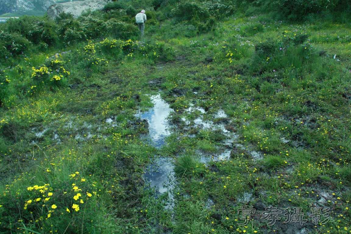 �����걦 (404).jpg