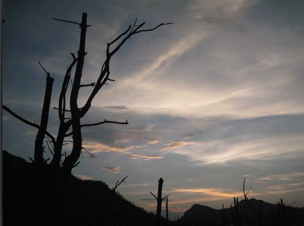 ҹ�������