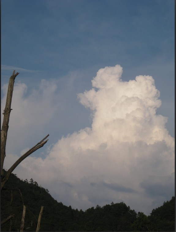 ���˽���͵��