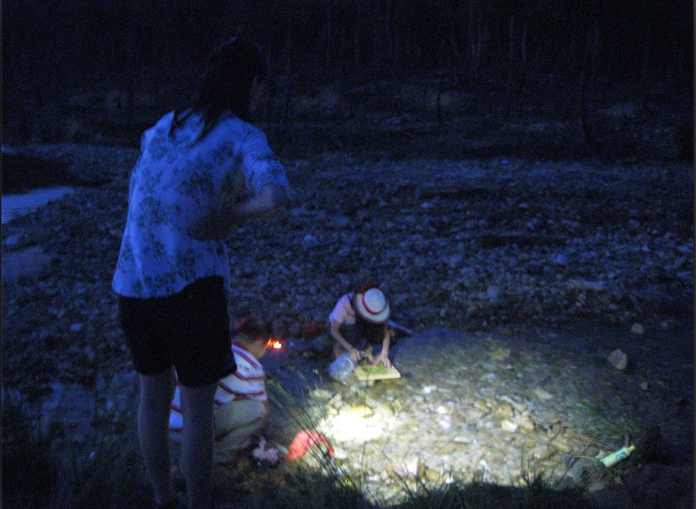 ��Ȧ�У�ҹɫ�¡���