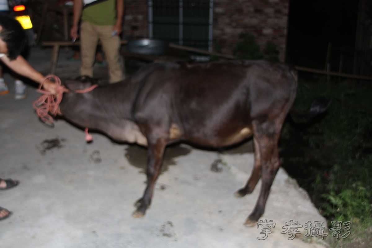 Ѥ����ʵ����Ͻ� (24).jpg