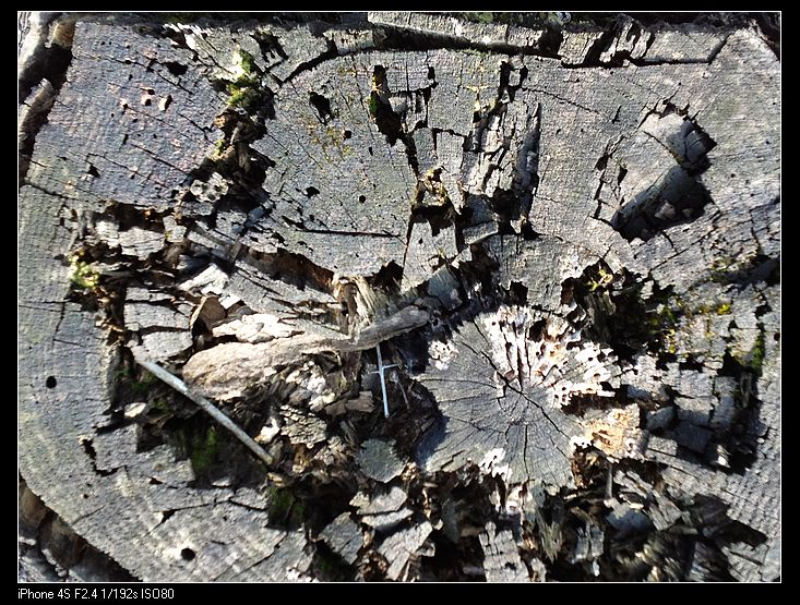 ��ľ�����䲻��һ������