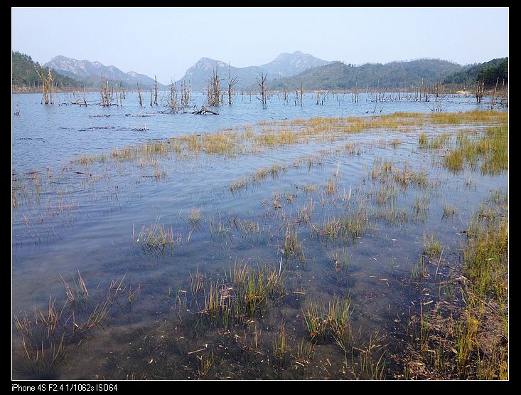 ��ˮ���ǲݣ���ɽ