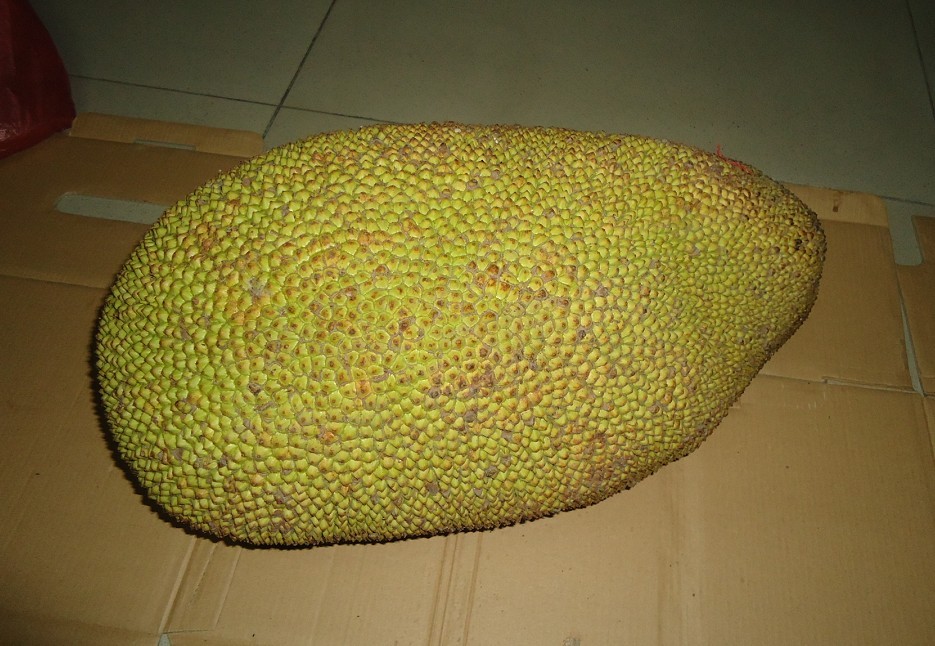 ������ 1.jpg