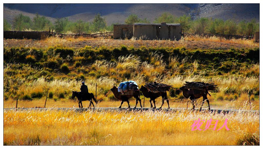 �������ػ͡������1 467_nEO_IMG.jpg