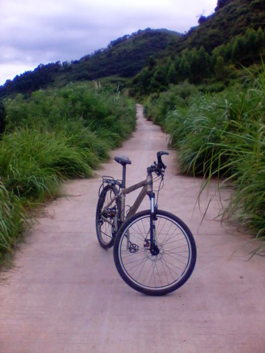 2012-08-23 14.21.40.jpg