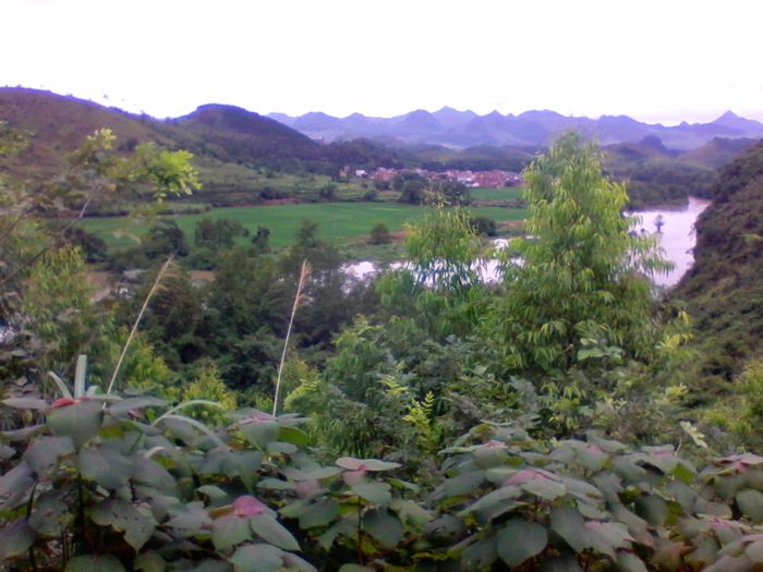 2012-08-23 14.20.30.jpg