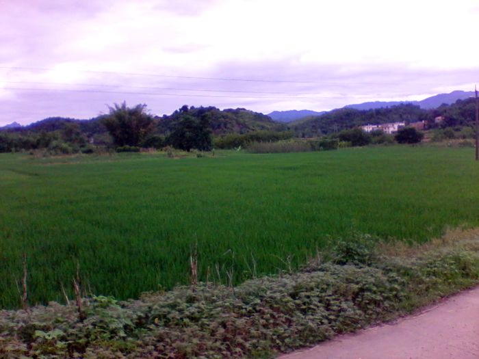 2012-08-23 14.03.38.jpg