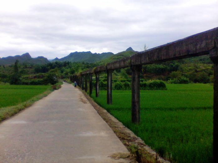 2012-08-23 14.03.32.jpg