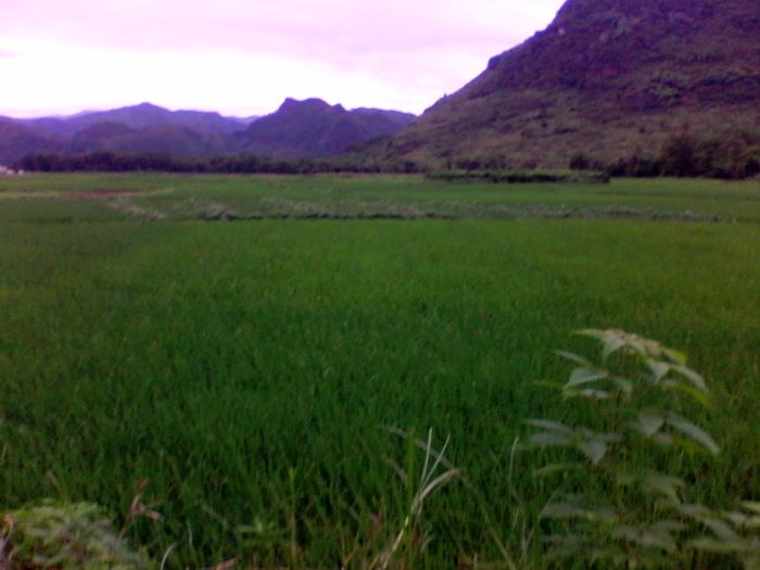 2012-08-23 14.41.24.jpg