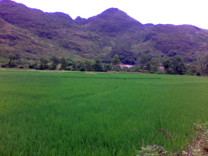 2012-08-23 14.41.16.jpg