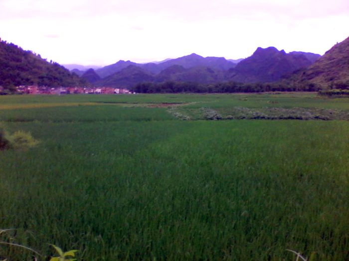 2012-08-23 14.41.13.jpg