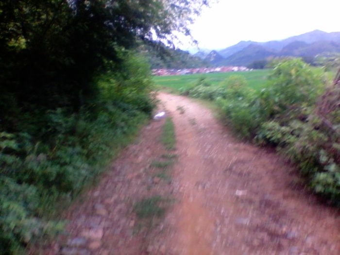 2012-08-23 14.40.40.jpg