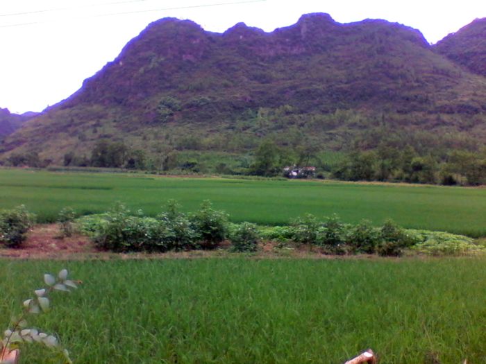 2012-08-23 14.39.54.jpg