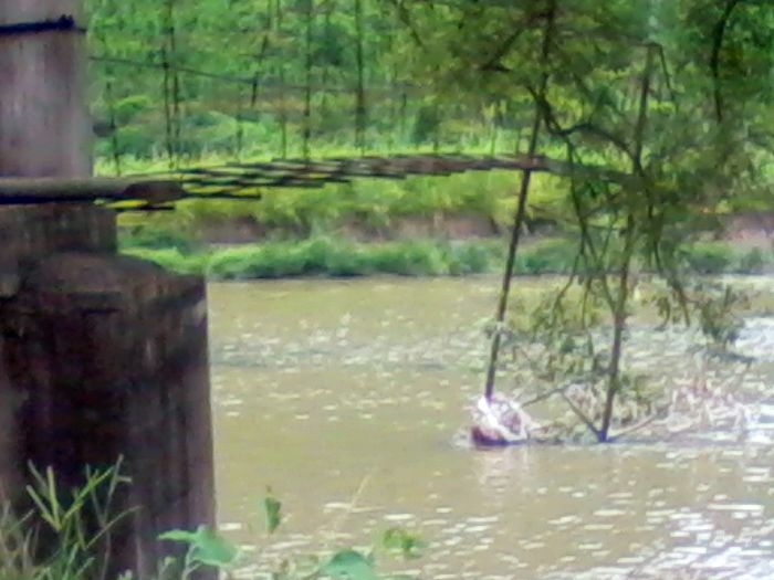 2012-08-23 14.27.18.jpg