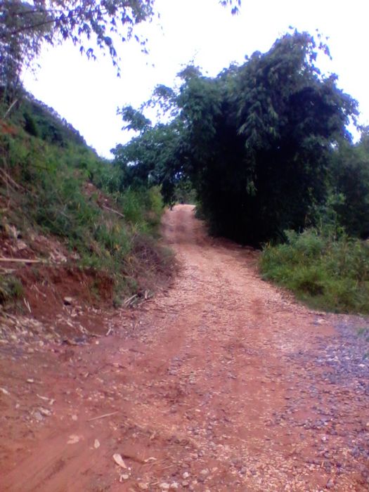 2012-08-23 15.13.06.jpg