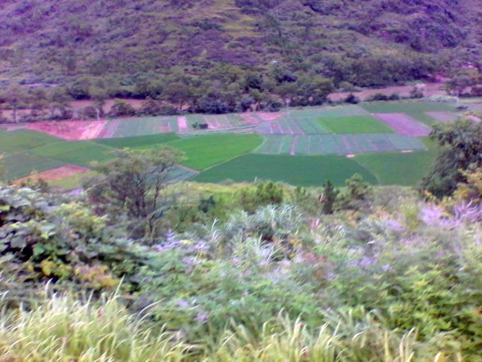 2012-08-23 15.05.59.jpg