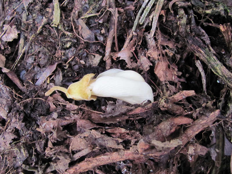 ţ�����٣����������¶��٣�ɽ��ź��