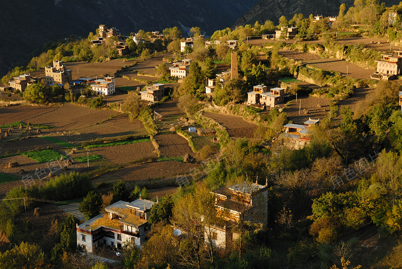 DSC_8678 ����.jpg