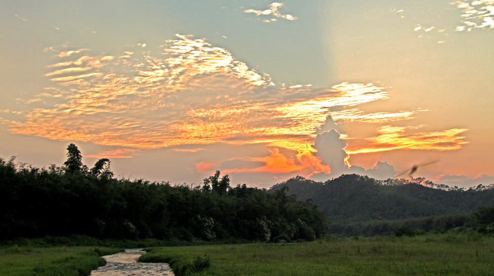 ���� IMG_5505.JPG