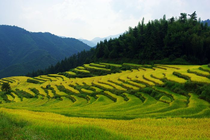 ŷ�Ҵ�����